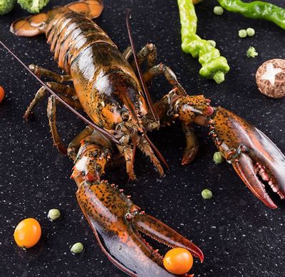 什么?波士顿龙虾,不是来自波士顿?!