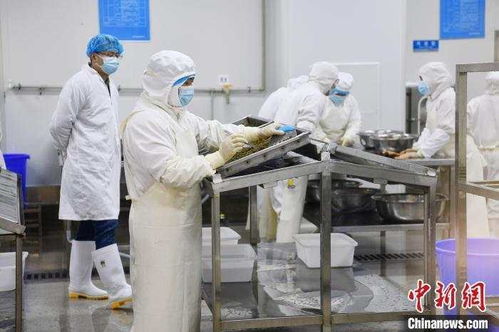 尔滨 带起 特产大摸底 ,我老家也开出 隐藏款