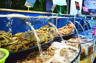 它堪称南浔&ldquo;海鲜工厂&rdquo;,超70+种海鲜自选天天平价!