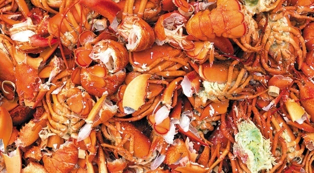科学家认为虾蟹壳作为可再生资源价值巨大