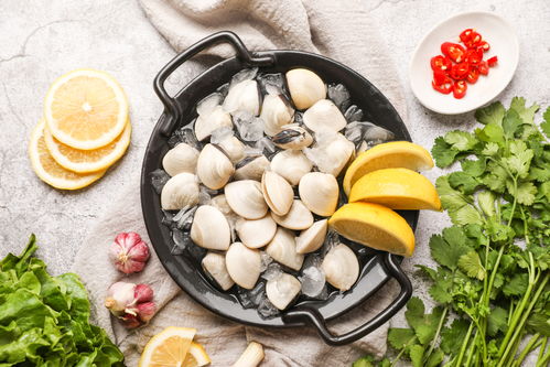 水产腌生鲜白贝海鲜美食摄影图 st摄影