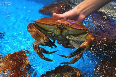 入冬了!2018年最后几天,冷空气即将虐哭南宁人!但有一个地方却&hellip;