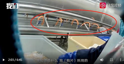 白色粉末 泡出黄金鲍,海鲜加工厂违规使用化学添加剂