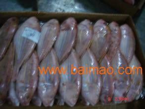 青岛进口海鲜清关代理公司 生产厂家、价格与海鲜进口全解析