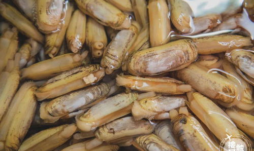 吴井路理想海鲜市场 昆明菜场界的“最大BOSS”海鲜