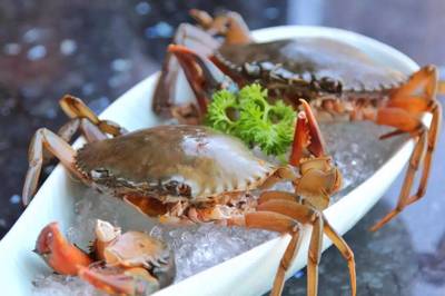 198元龙虾海鲜拼盘免费送！品味鲜香，畅享海鲜火锅盛宴