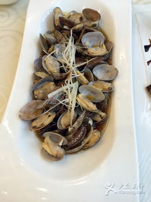 石浦海鲜宁海渔港 东海之滨的鲜味盛宴