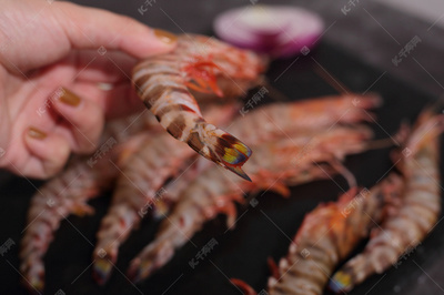 七大海鲜瑰宝 品味海洋的馈赠