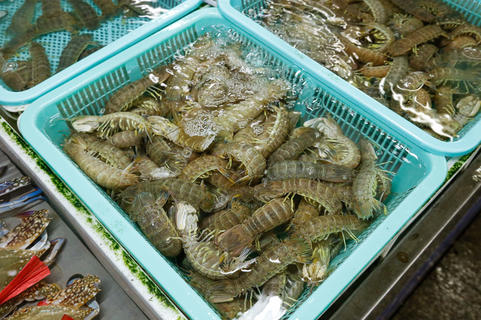 海洋珍宝 虾的多元魅力与烹饪艺术