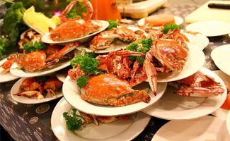 高铁2.5小时从沈阳到北京，沿途20站美景任你游，还能一路尝鲜！